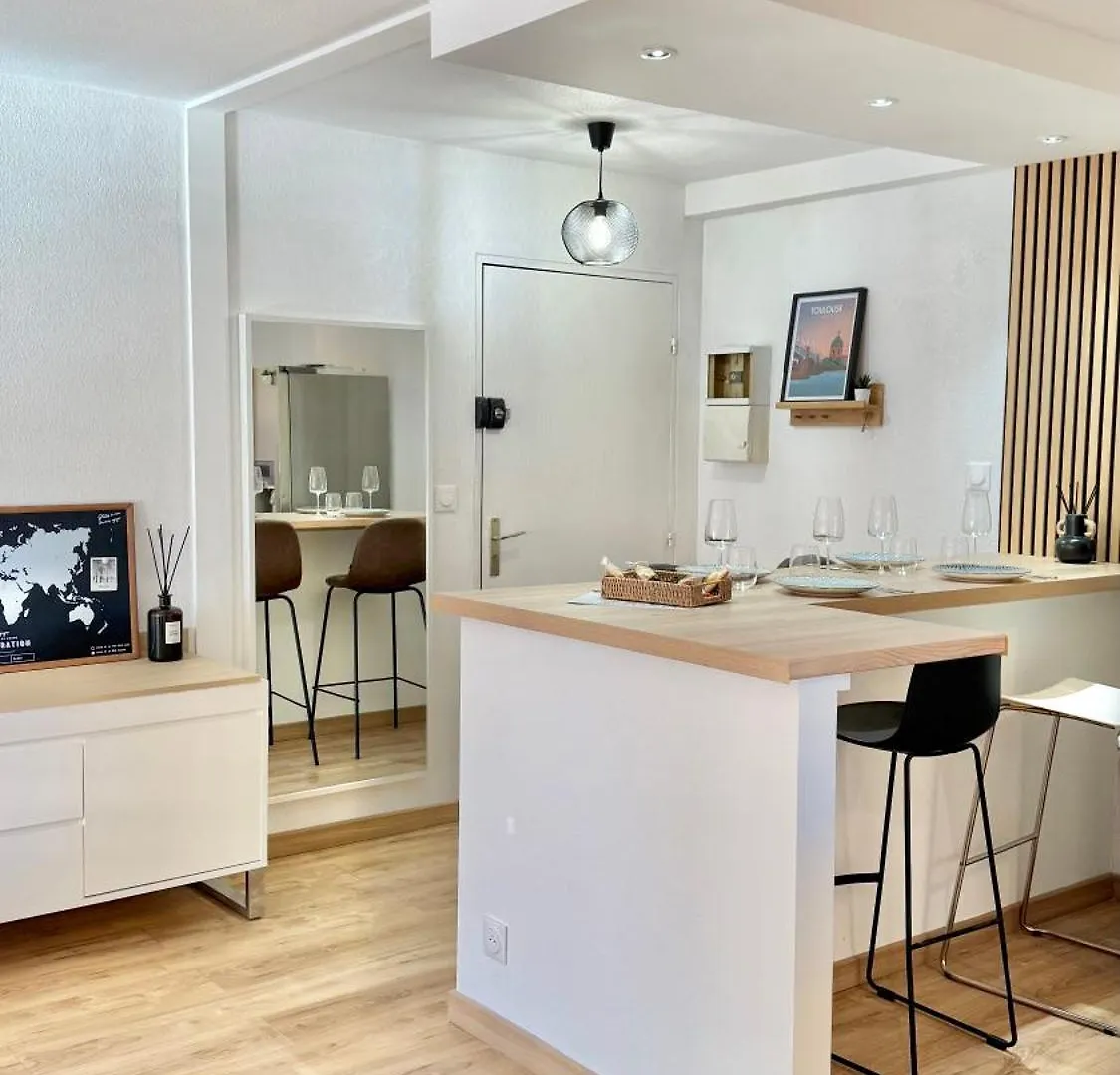 T2 Moderne - Quartier Cartoucherie - Proche Zenith & Purpan - Parking Toulouse Appartement